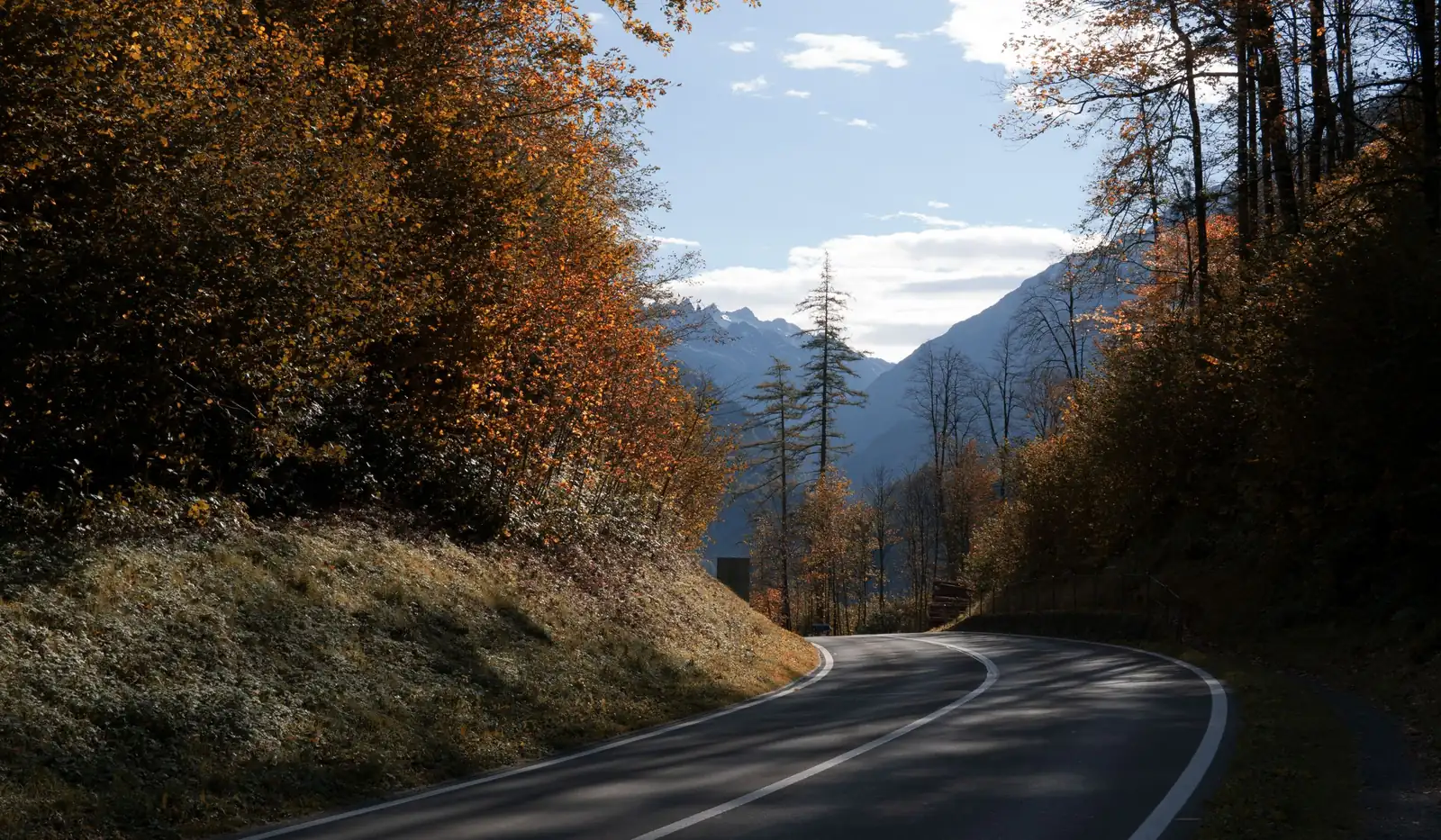 Carretera de montaña con curvas entre bosque, típica de la sierra de Ávila